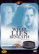 DVD]What lies beneath / DVD]왓라이즈비니스