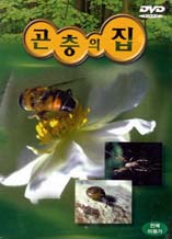 DVD]Bug`s House / DVD]곤충의 집 (다큐멘터리) (self)