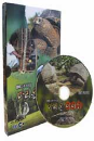 DVD]EBS The Story Of Marion / DVD]EBS 마리온 이야기 (1disc)