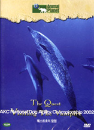 DVD]Animal Planet : The quest visiting the vampire / DVD]디스커버리 키즈 - 퀘스트호의 탐험