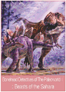 DVD]Discovery Kids-Beasts of the Sahara / DVD]디스커버리 키즈 - 사하라의 거대 화석