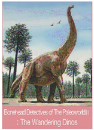 DVD]Discovery Kids-The Wandering Dinos / DVD]디스커버리 키즈 - 공룡의 집을 찾아서