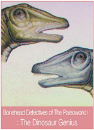 DVD]Discovery Kids-The Dinosaur Genius / DVD]디스커버리 키즈 - 천재 공룡을 찾아라