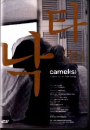 DVD]Camel(s / DVD]낙타(들)