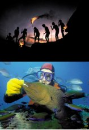 DVD]IMAX : Great Barrier Reef / DVD]아름다운 바다 (IMAX)